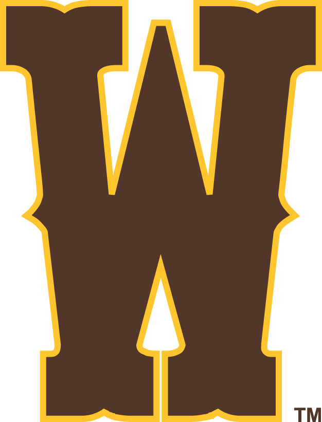 Wyoming Cowboys 2013-Pres Secondary Logo iron on transfers for T-shirts